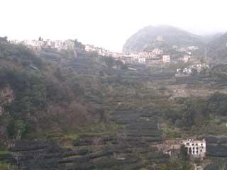 Amalfi