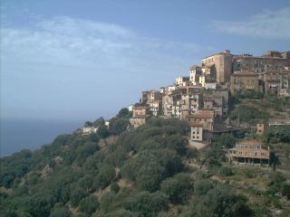 Pisciotta