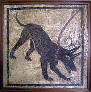 Cave Canem