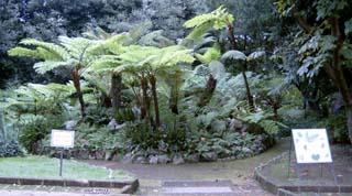 Neapel Botanischer Garten