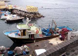 Sorrento fishing harbour
