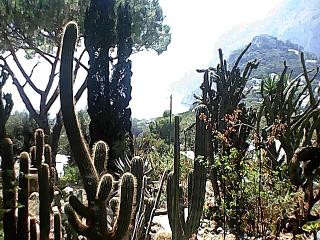 Capri private garden